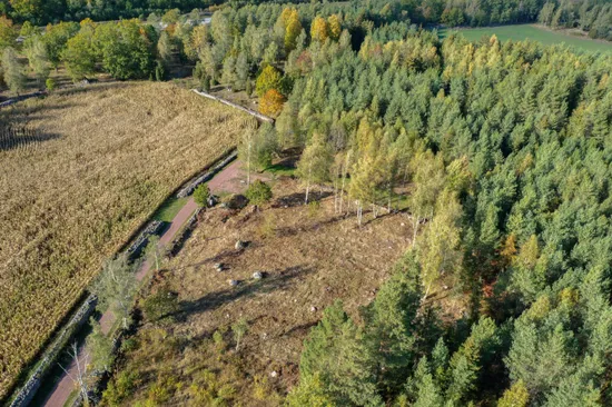Tomt, Solberga., Ålem, Mönsterås