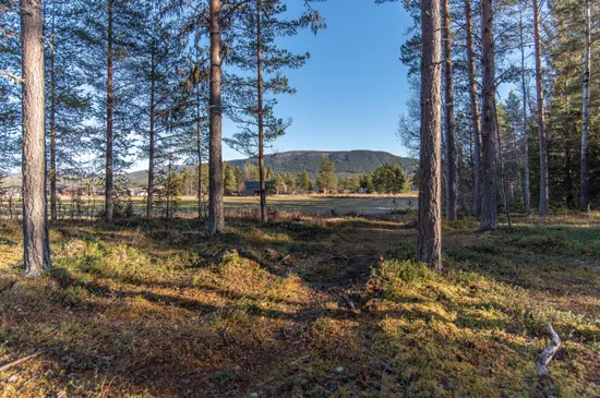 Tomt, Två tomter på Österlånggatan, Vemdalen, Härjedalen