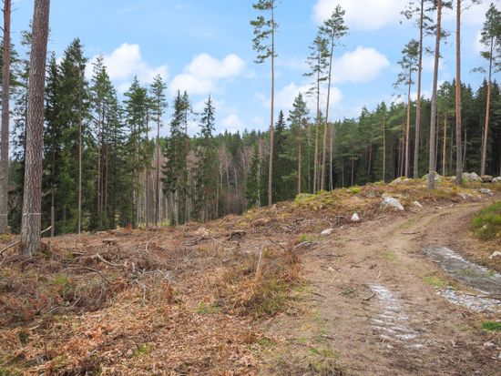 Tomt, Sandlycke, Grundbro, Strängnäs
