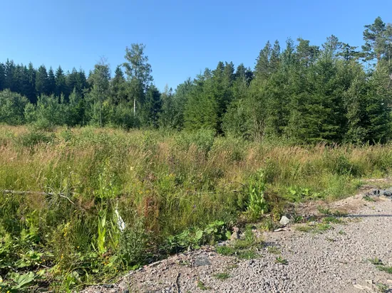 Tomt, Väddö kustväg 250, Väddö Edeby, Norrtälje