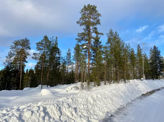 Tomt, Tomt Blåbärsstigen 19, Idre, Älvdalen