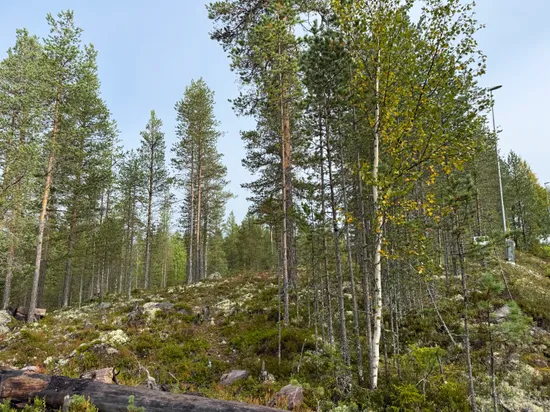 Tomt, Tomt Blåbärsstigen 19, Idre, Älvdalen