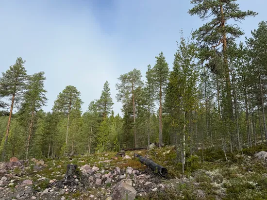 Tomt, Tomt Blåbärsstigen 21, Idre, Älvdalen