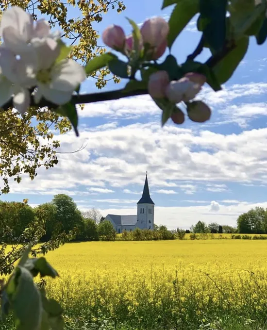 Tomt, Mellby byväg 16, Mellby, Simrishamn