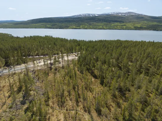 Tomt, Tomt Härjedalen Lofsdalen 1:462, Härjedalen