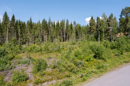 Tomt, Trevlig naturtomt med lantligt läge!, Kroksjön, Skellefteå