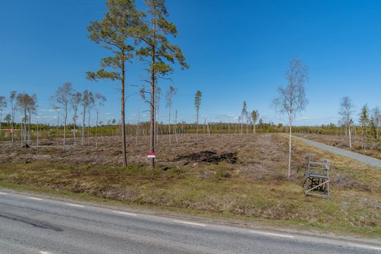 Tomt, Degernäs 22, Degernäs ( gränsande mot Öst Teg), Umeå