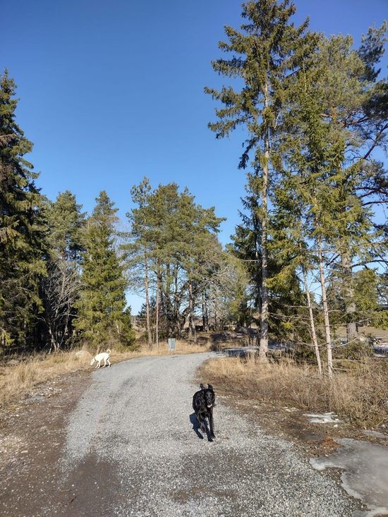 Tomt, Boglösa Svallby 22, Trögden, Enköping