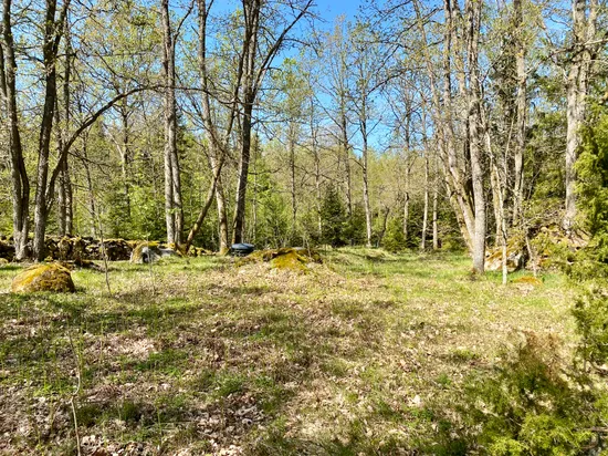 Tomt, Tillfälle att förvärva en tomt i Betet, Tingsryd., Tingsryd