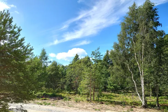 Tomt, Vamlingbo Austre, Vamlingbo, Gotland