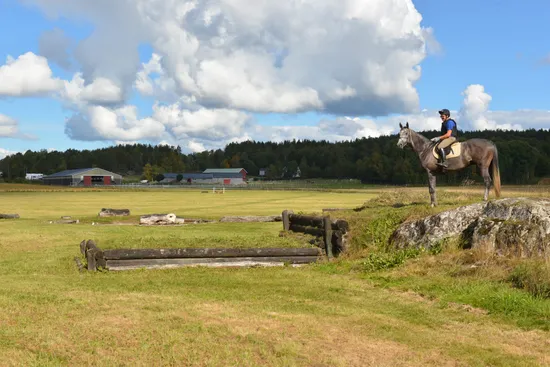 Gård/Skog, Mardal Norgård 1, Skee, Strömstad