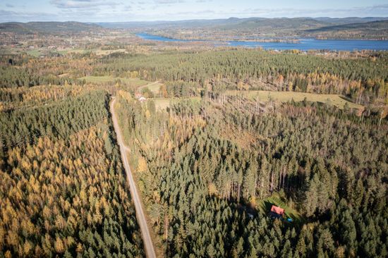 Tomt, Högbergstjärnsvägen 9, Järvsö, Nybo, Ljusdal