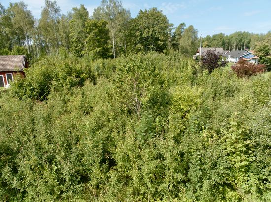 Tomt, Gamla vägen, Tingsryd