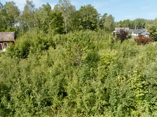 Tomt, Gamla vägen, Tingsryd