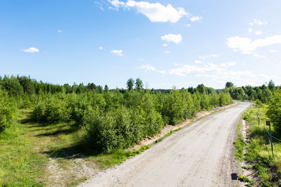 Tomt, Persbacksvägen 11, Rörberg, Gävle