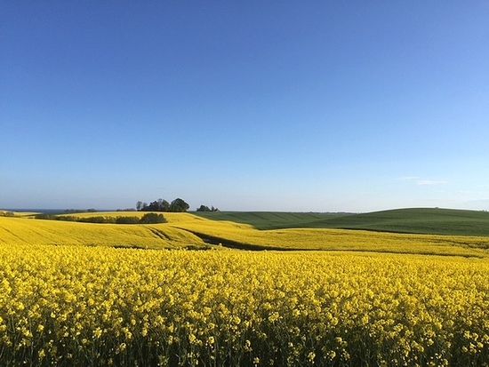 Tomt, Västra sjörupsvägen, Ystad
