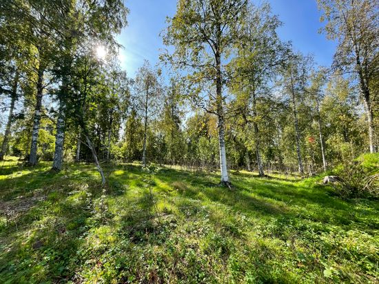 Tomt, Gundbyvägen, Evertsberg, Älvdalen