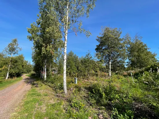 Tomt, Gundbyvägen, Evertsberg, Älvdalen