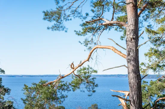 Tomt, Rosendalsvägen 5C, Svärtinge, Norrköping