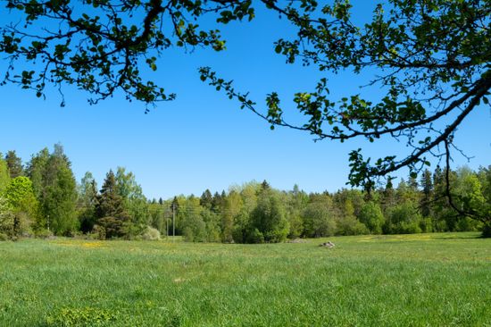 Gård/Skog, Åkeröstigen 91, Rådmansö, Norrtälje