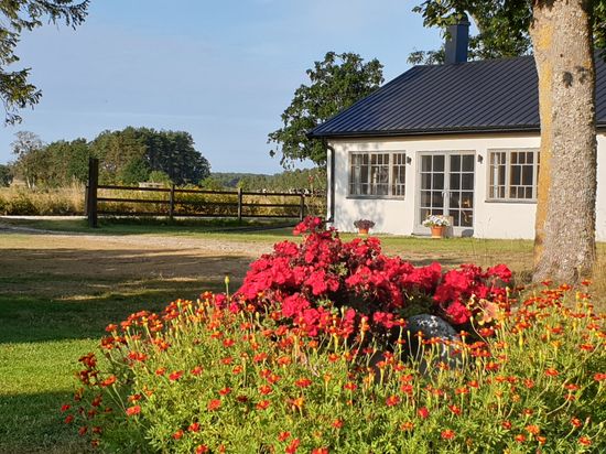 Övrigt, När Dalbo 466, När - Sydöstra Gotland, Gotland