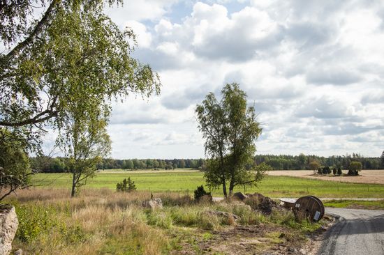 Tomt, Born 13B, Börje, Uppsala