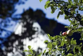 Villa, Kommande försäljning - villa i Sandhult, Sandhult, Borås