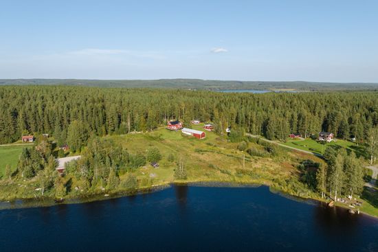 Gård/Skog, Hemvattnet 24, Hemvattnet, Skellefteå