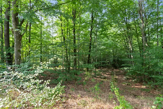 Tomt, Sjöberga 300, Hässleholm