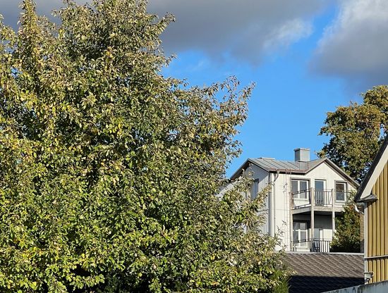 Villa, Nybomsgatan 2C, Freja, Västerås