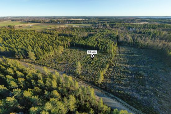 Tomt, Degernäs 567, Degernäs, Umeå