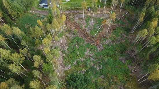 Tomt, DEL AV SUNDSVALL KLINGSTA 3:10 (Tomterna 1A och 1B), Medskogsbron - Vintertjärn, Sundsvall