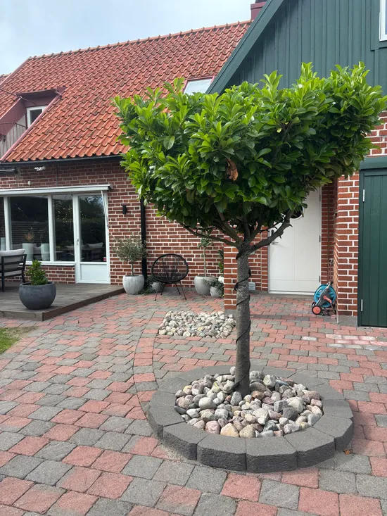 Bostadsrätt, Radhus, Thorssons väg 22F, Centrala Ystad, Ystad