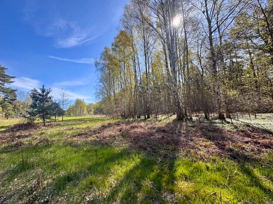 Tomt, Fårö Stora Gasmora 1:25, Fårö, Gotland