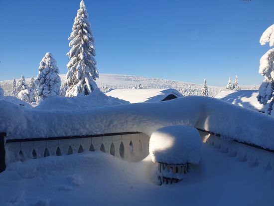 Bostadsrätt, Kungsörnen 8 C, Högfället, Malung-Sälen