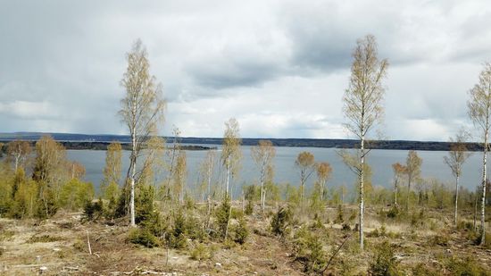 Tomt, Bullås 185, Alnö, Sundsvall