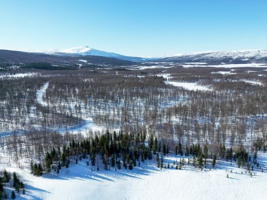 Tomt, Norra Fjällnäs 1:111, Tärnaby, Storuman