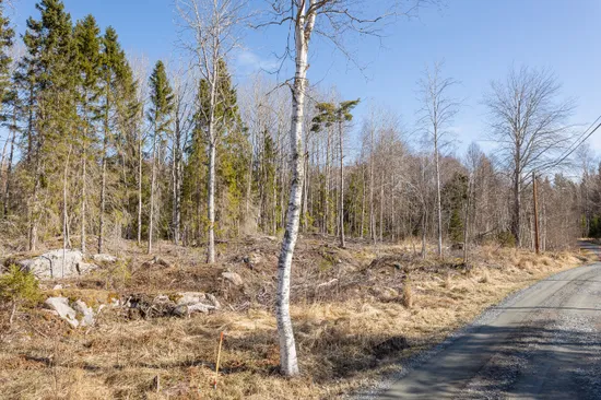 Tomt, Västerbyn (tomt 2), Gräsö, Östhammar