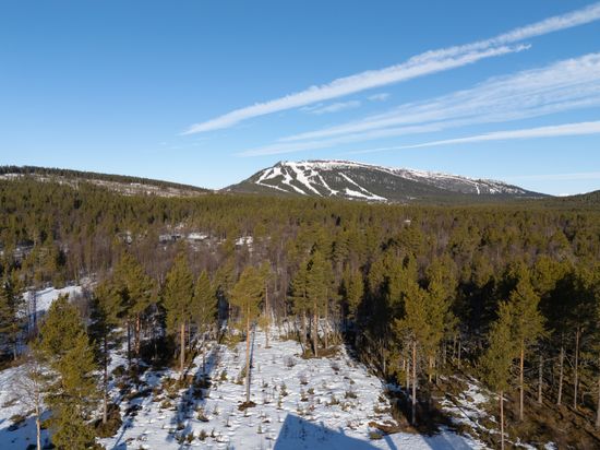 Tomt, Ljusnedals fritidsby 415, Härjedalen