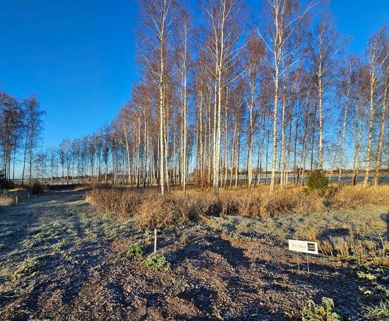 Tomt, Flistad/Maspelösa, Maspelösa, Linköping