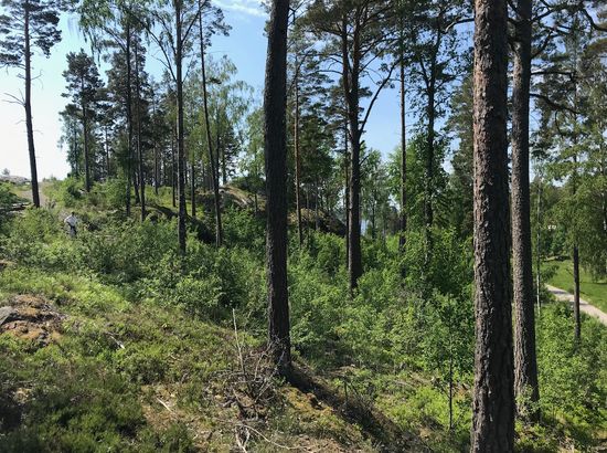 Tomt, Timrarövägen 14, Timrarö, Österåker