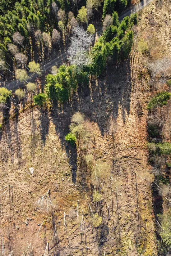 Tomt, Bygg drömboendet i Eket – med naturen som närmsta granne, Eket, Örkelljunga
