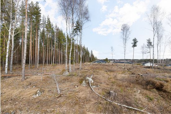 Tomt, Norrskogsbacken 6, Bro Sjöhagen, Upplands-Bro