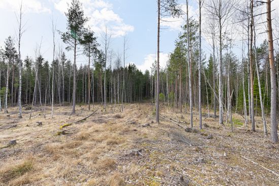 Tomt, Norrskogsbacken 3, Bro Sjöhagen, Upplands-Bro