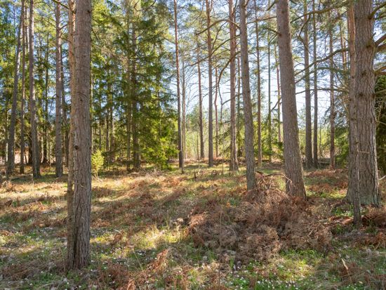 Tomt, Tomt i Norrlanda Munkebo Gotland, Gotland