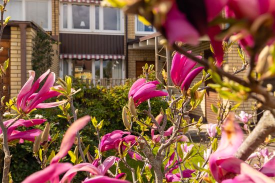 Radhus, 6:e villagatan 19, Karlstad