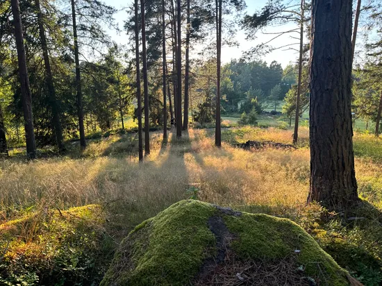 Tomt, Edövägen 10, Svartnö - Furusund, Norrtälje