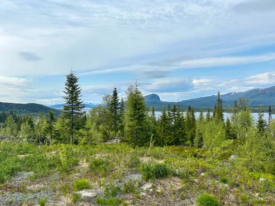 Tomt, Middagskullen 32, Vilhelmina