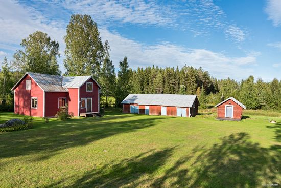 Gård/Skog, Karhuvaara 241, Karungi, Haparanda