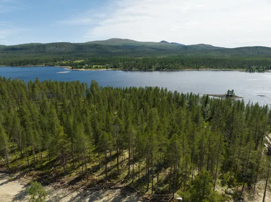 Tomt, Lofsdalsvägen, Lofsdalen 26:282, Härjedalen